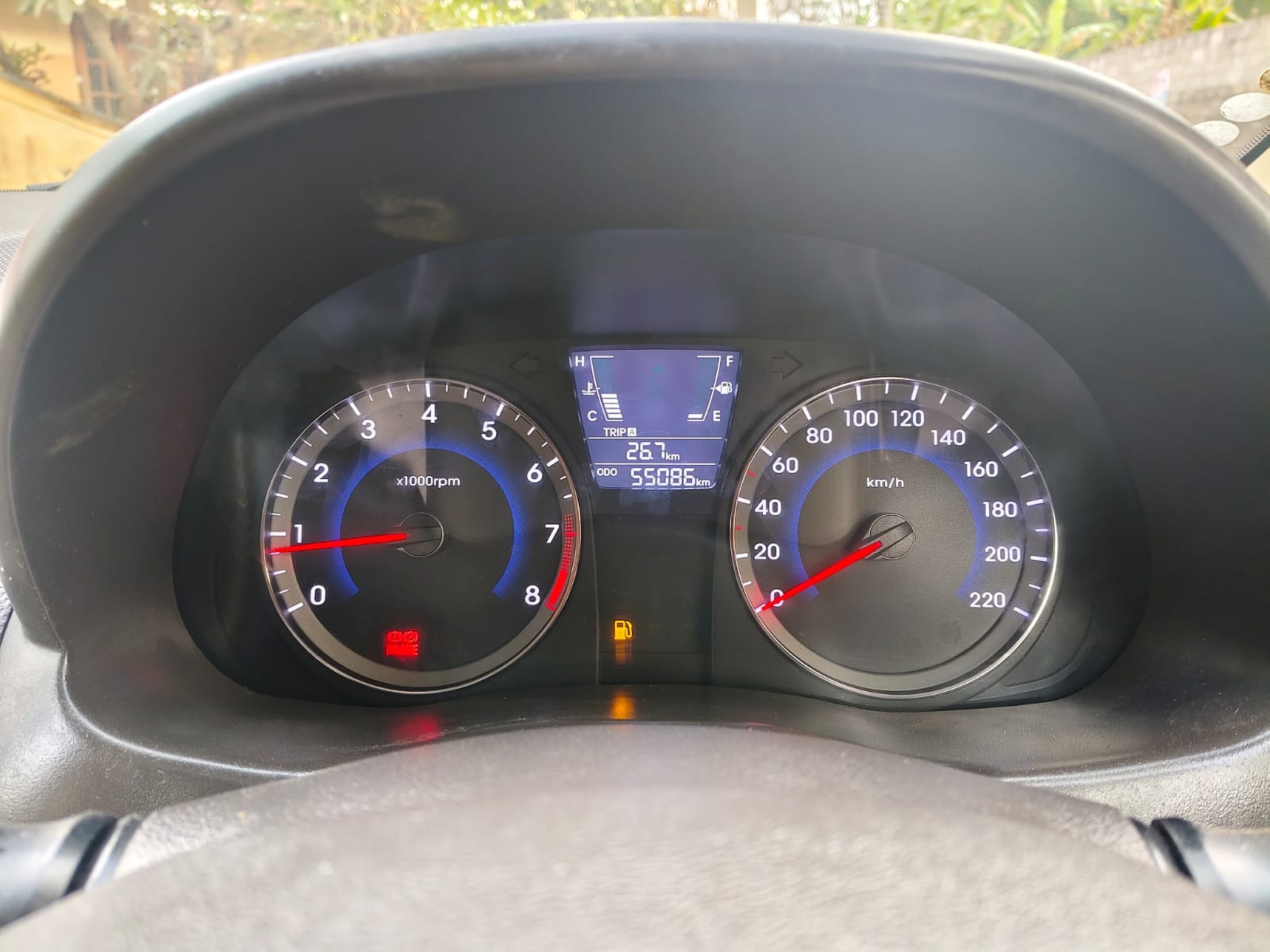 Verna image 11 Verna image 11