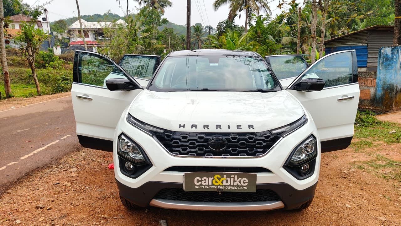 Harrier image 6 Harrier image 6