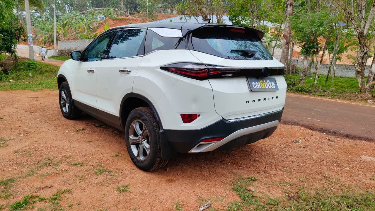 Harrier image 2 Harrier image 2