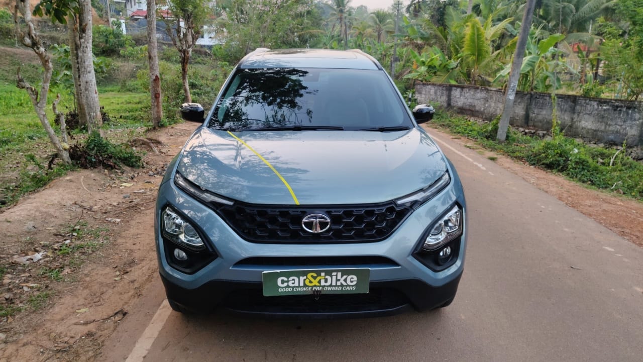 Safari image 8 Safari image 8