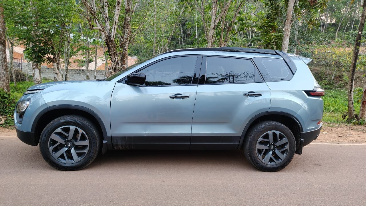 Safari image 2 Safari image 2