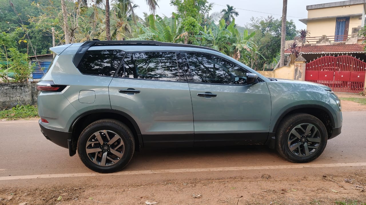 Safari image 6 Safari image 6