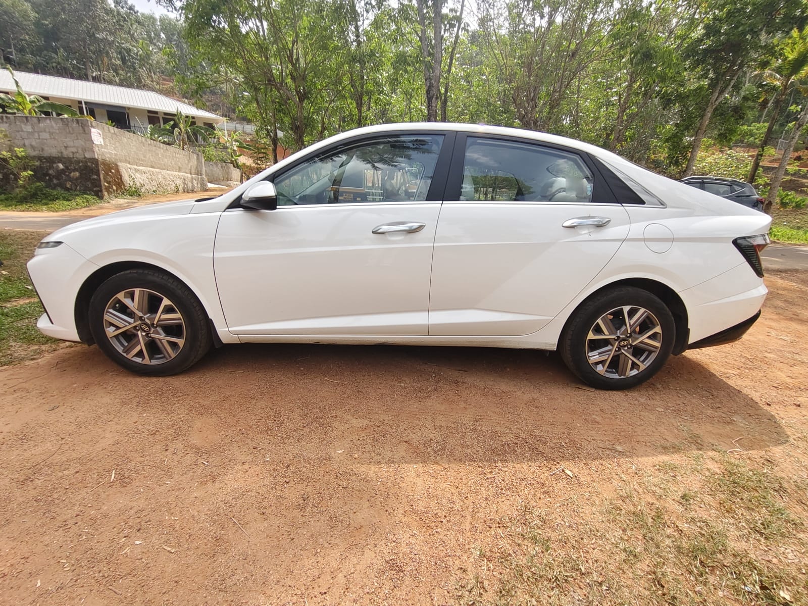 Verna image 2 Verna image 2