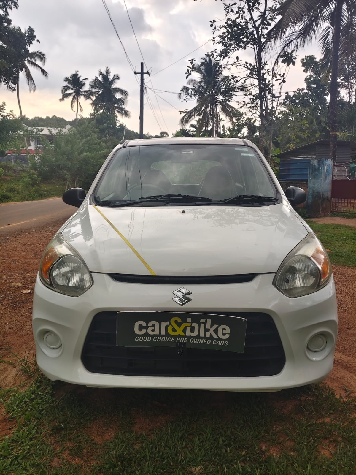 Alto 800 image 1 Alto 800 image 1