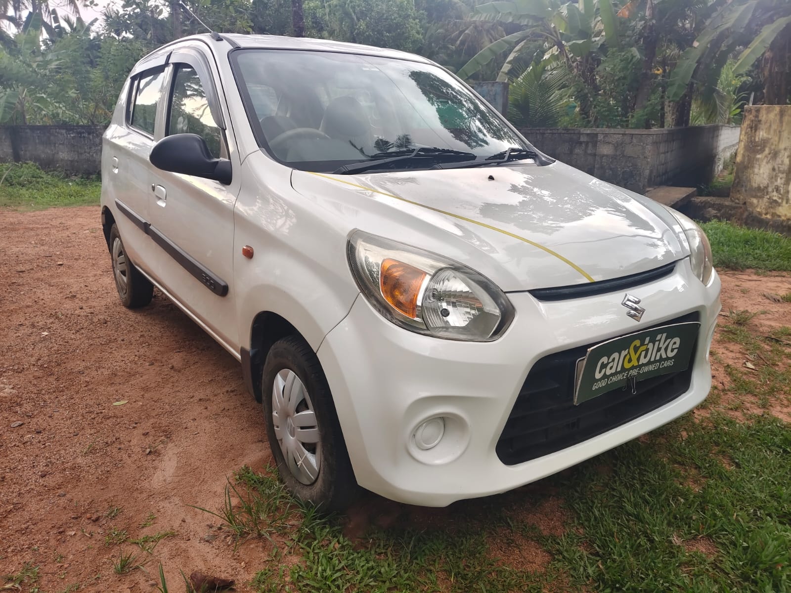 Alto 800 image 7 Alto 800 image 7
