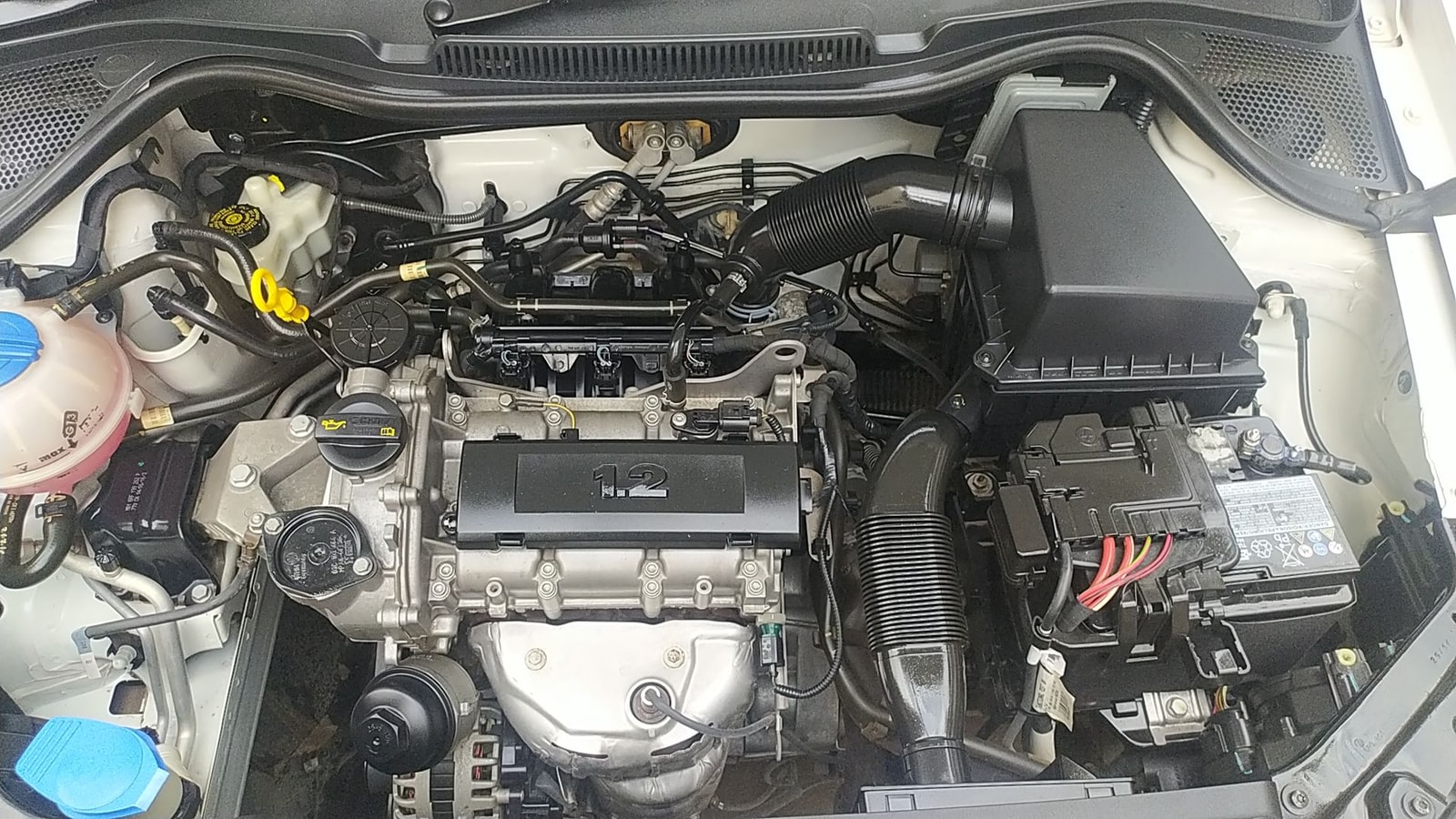 Ameo image 13 Ameo image 13