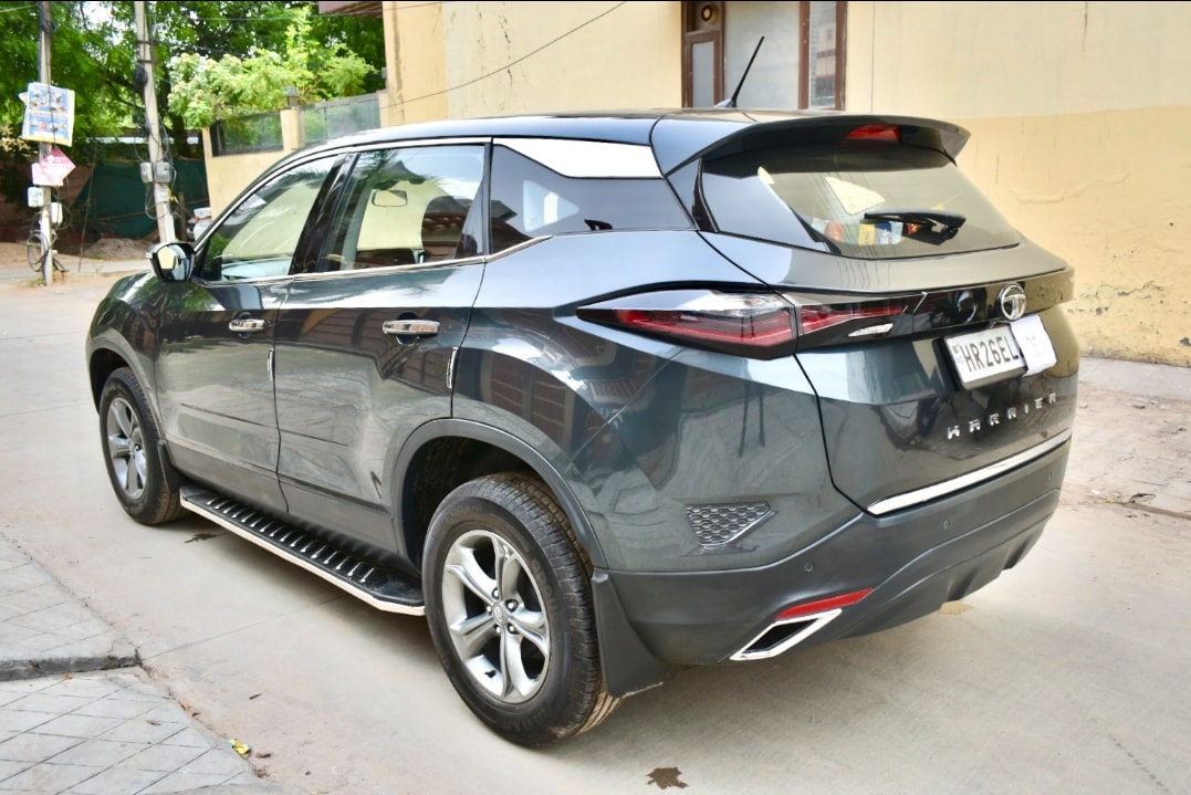 Harrier image 2 Harrier image 2