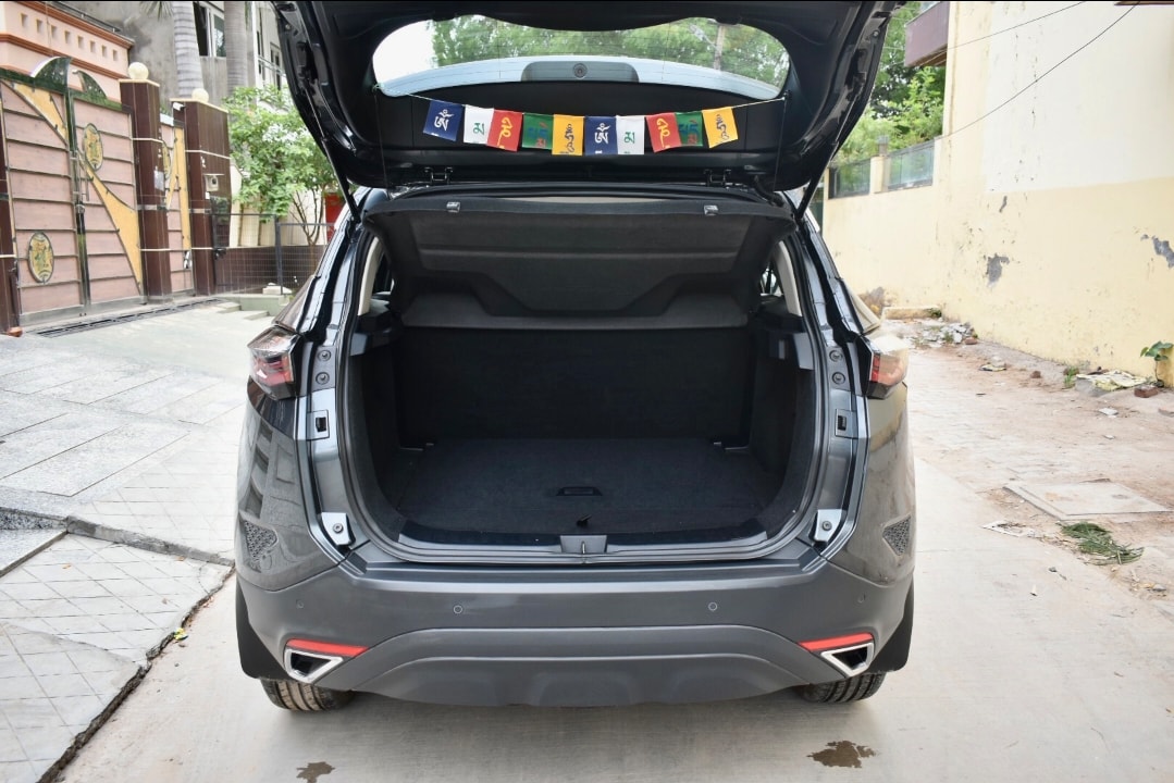 Harrier image 9 Harrier image 9