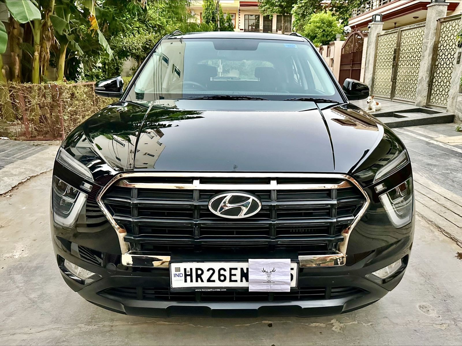 Creta image 8 Creta image 8