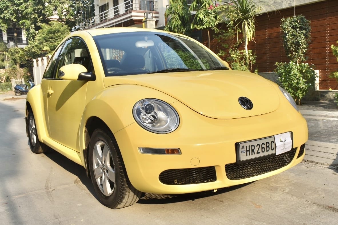 Beetle image 7 Beetle image 7