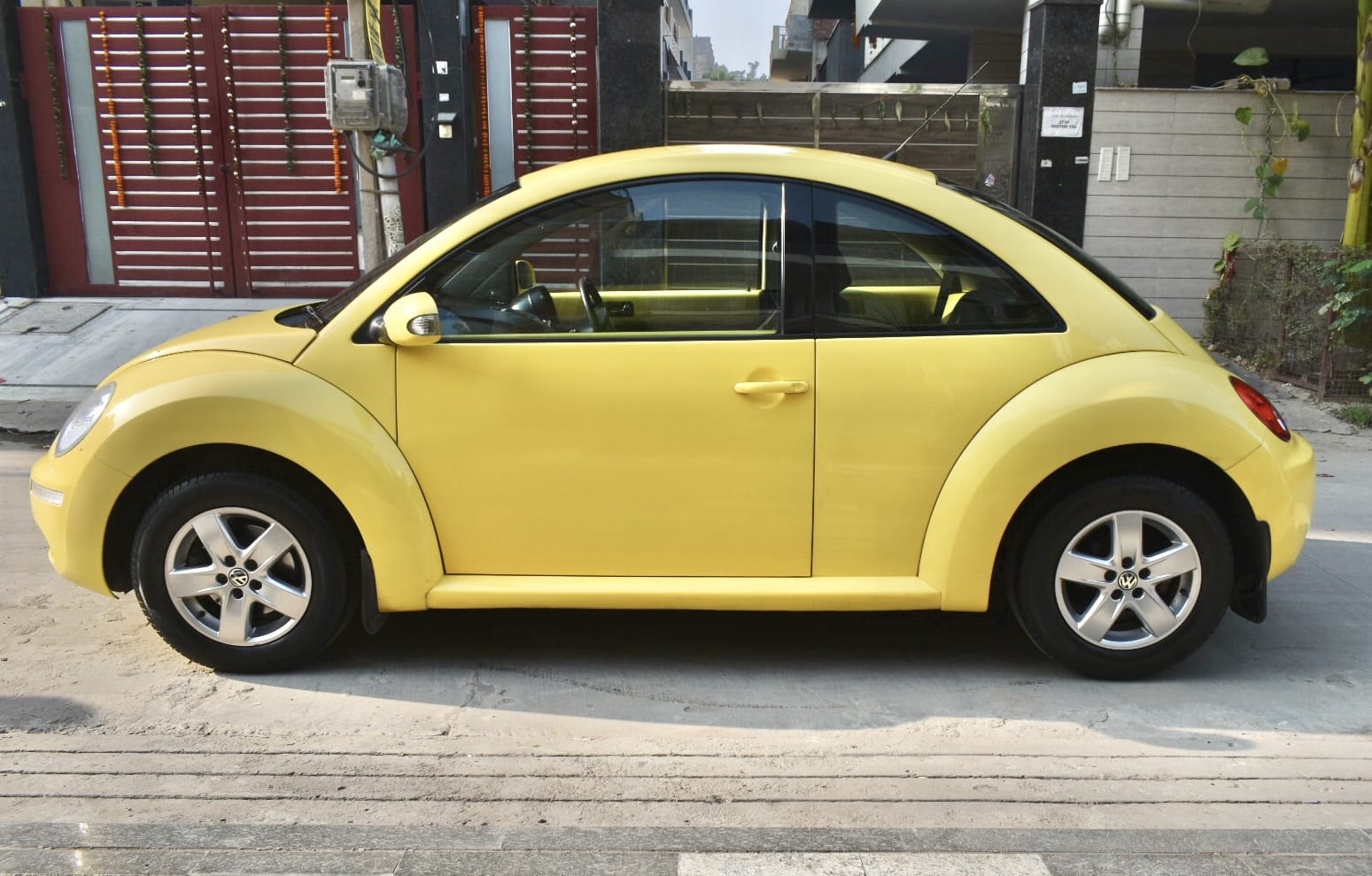 Beetle image 2 Beetle image 2