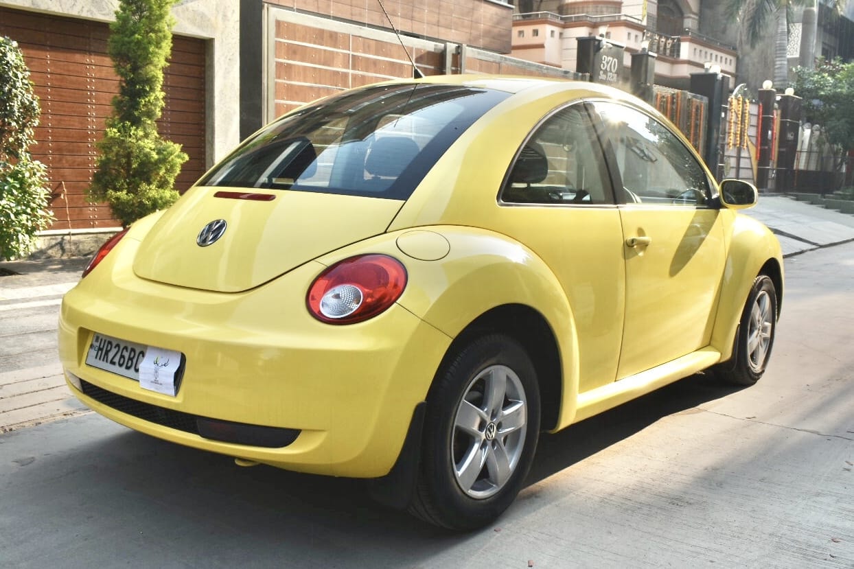 Beetle image 5 Beetle image 5