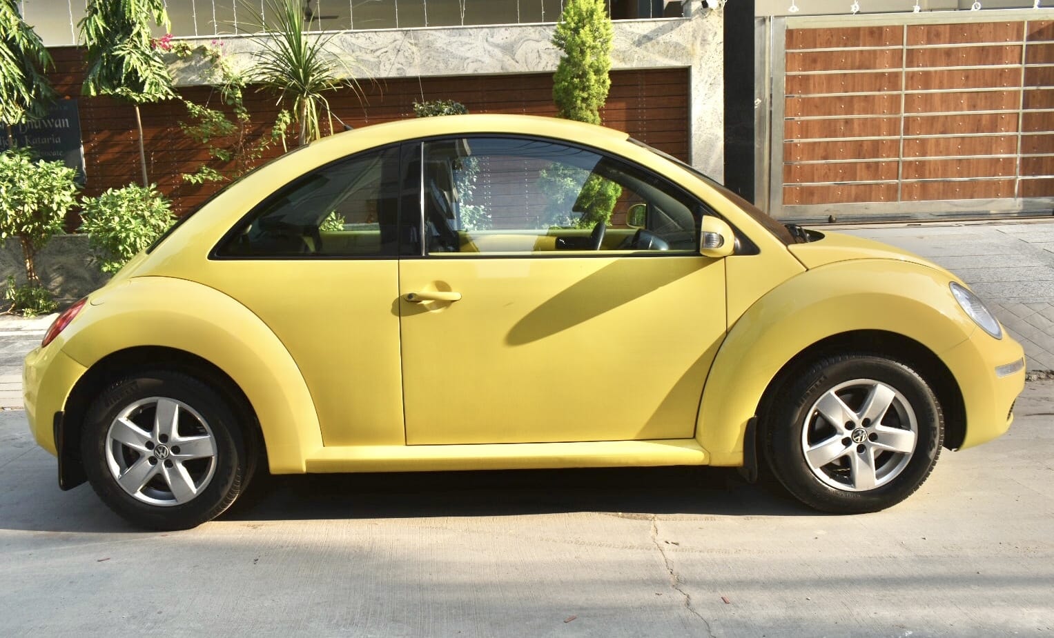 Beetle image 6 Beetle image 6