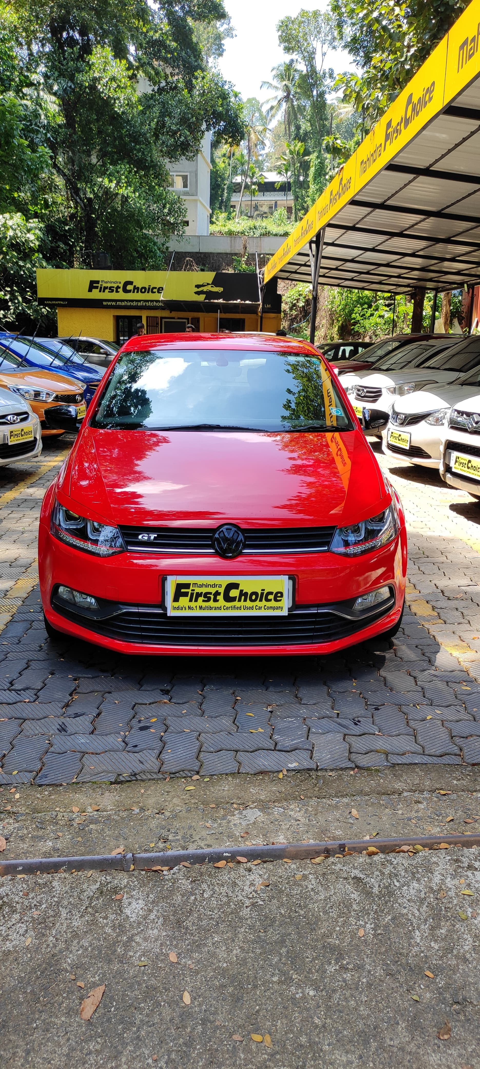 Polo image 5 Polo image 5