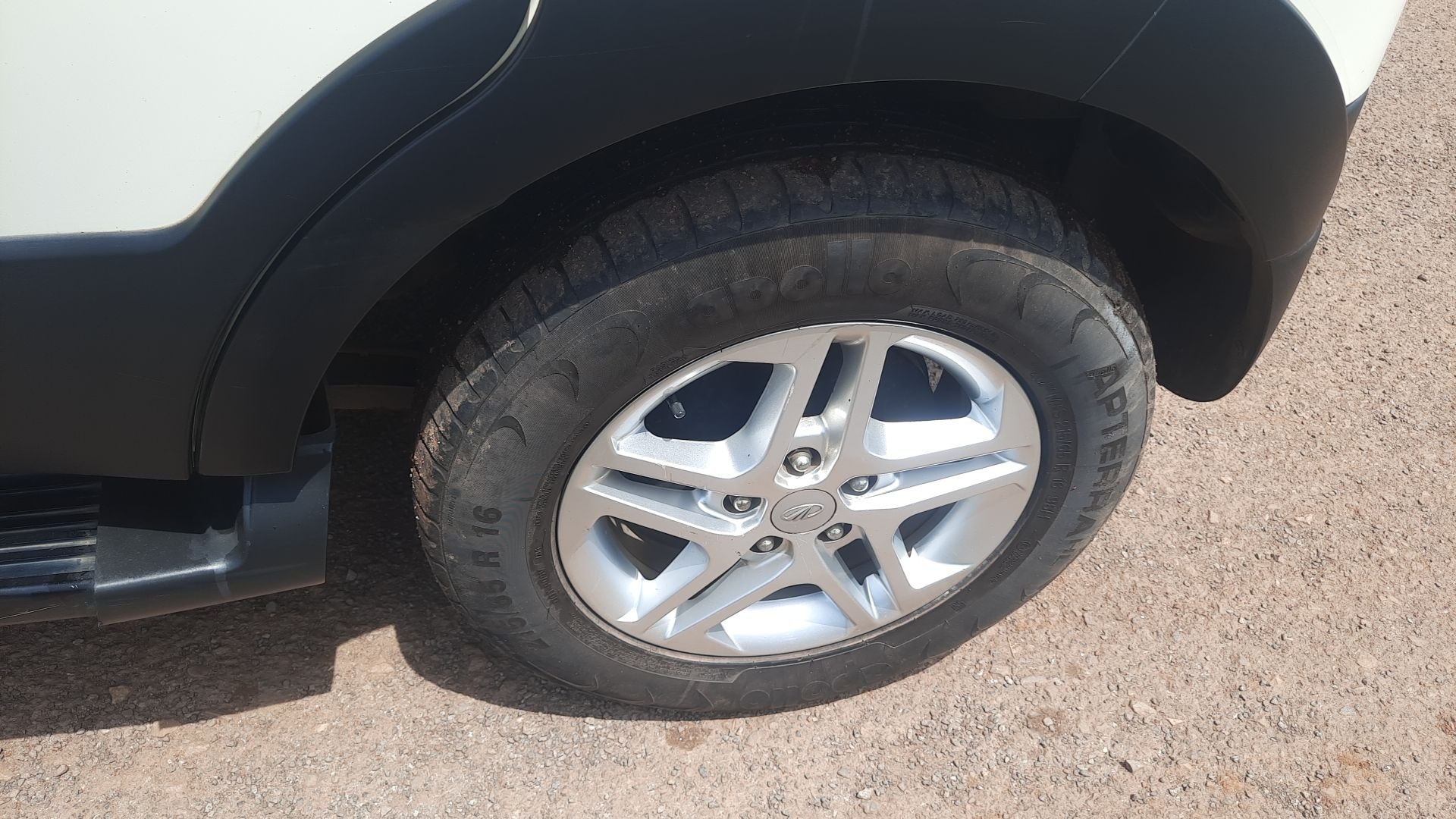 NuvoSport image 12 NuvoSport image 12