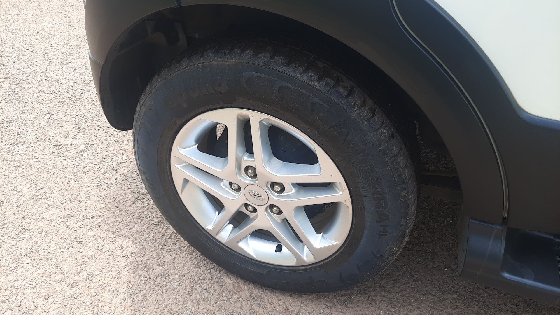 NuvoSport image 11 NuvoSport image 11