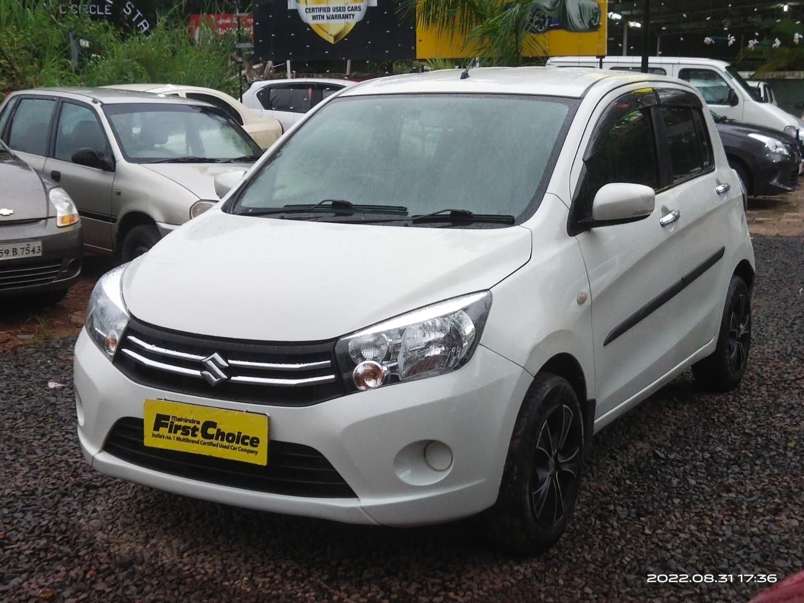Celerio image 1 Celerio image 1