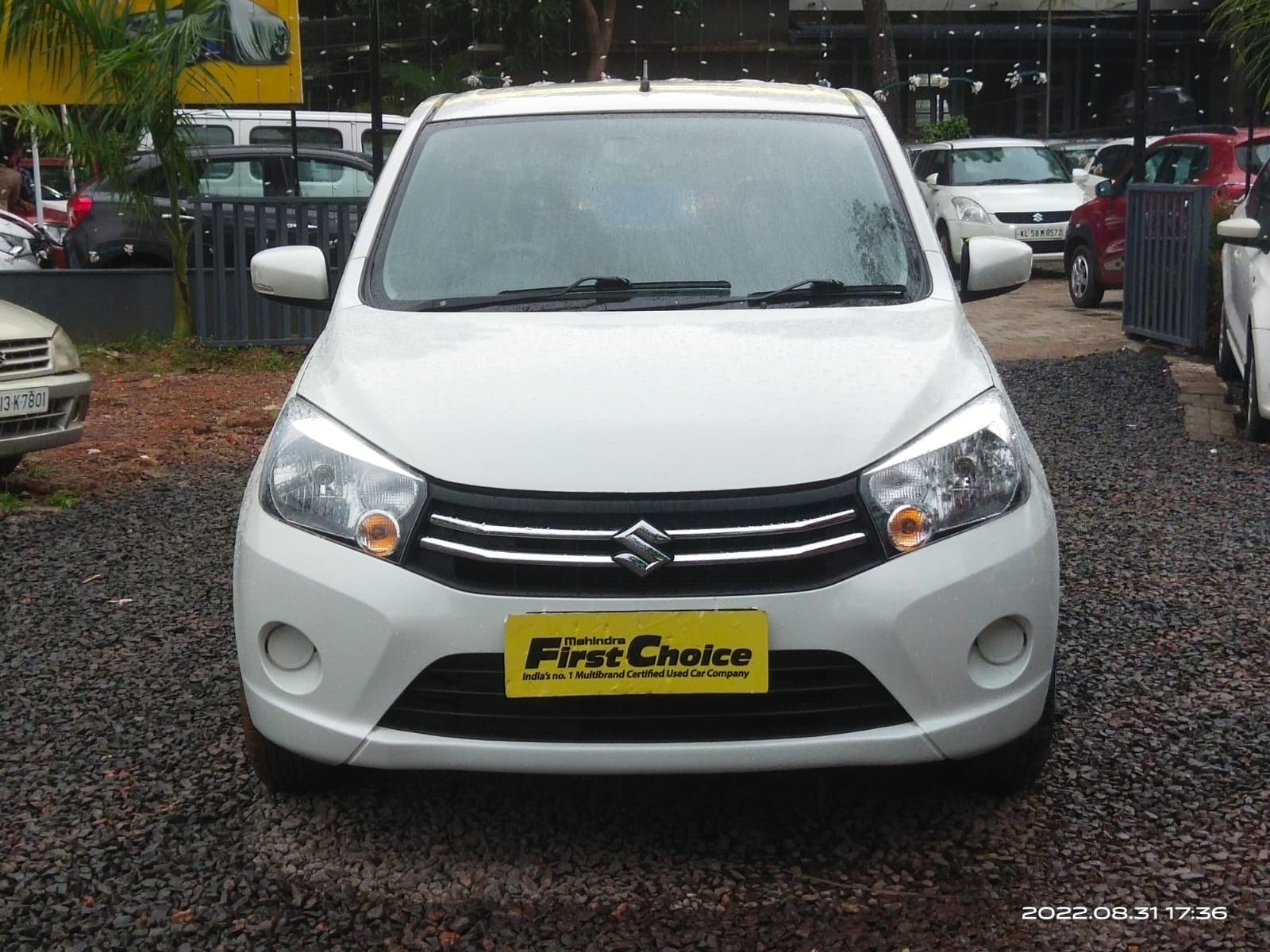 Celerio image 3 Celerio image 3