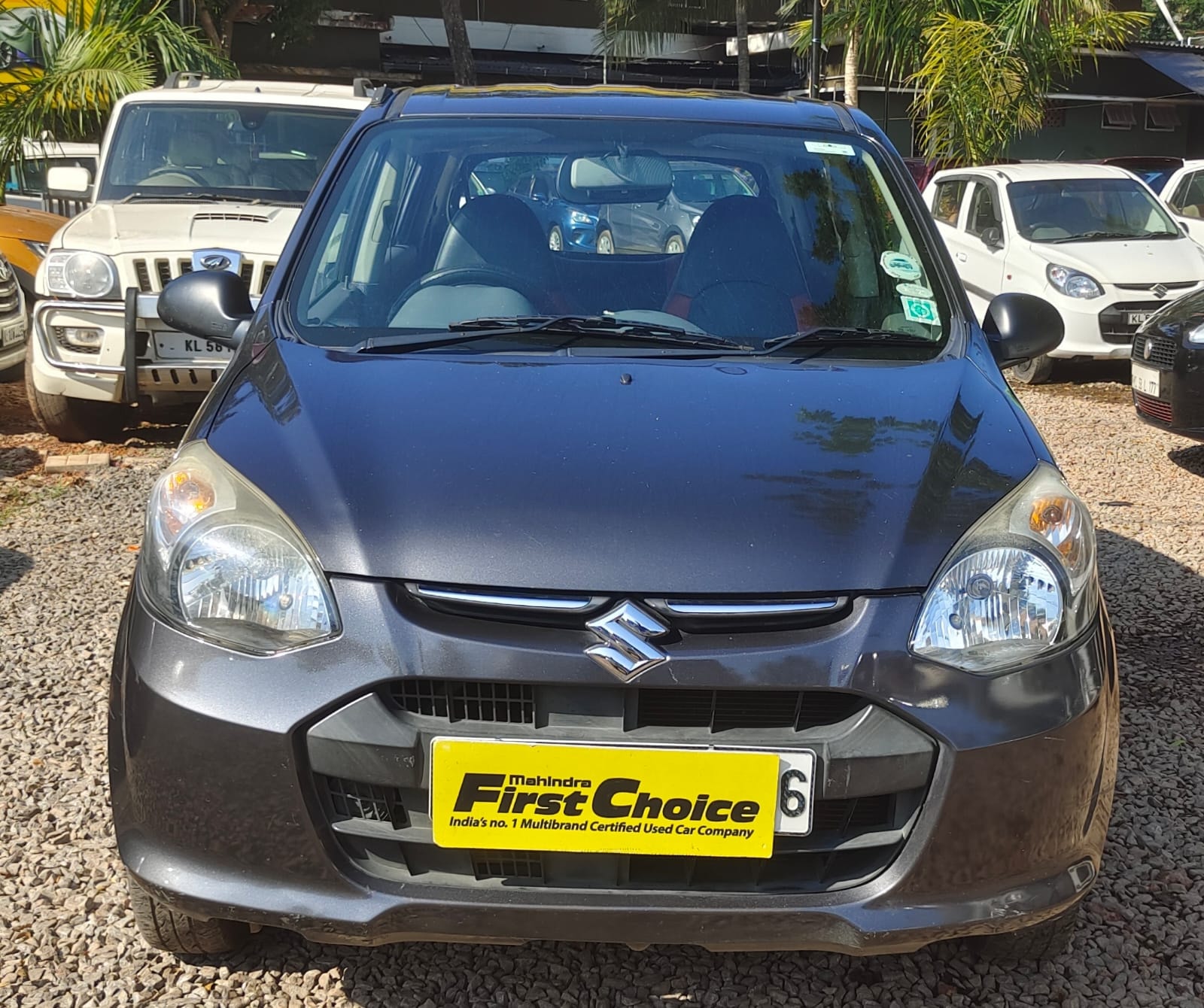 Alto 800 image 3 Alto 800 image 3