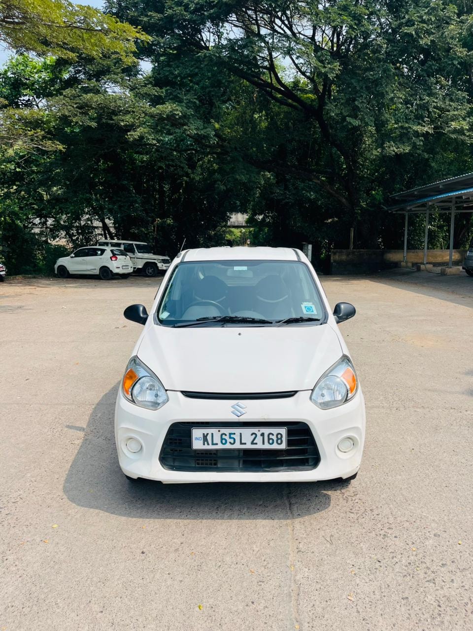 Alto 800 image 8 Alto 800 image 8