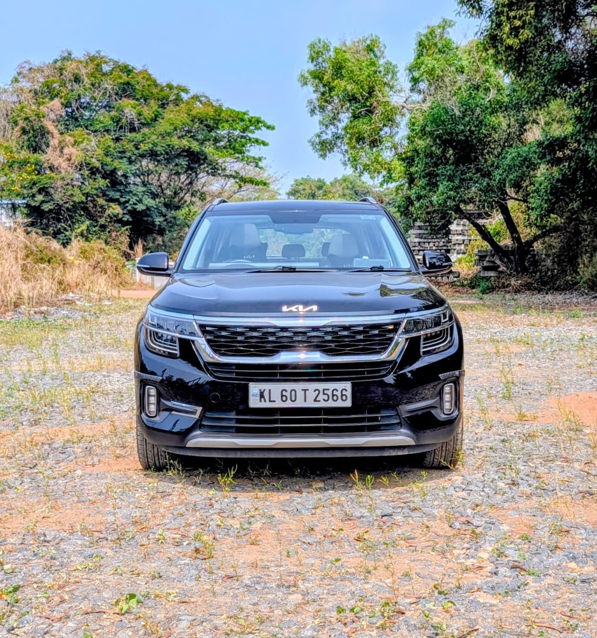 Seltos image 8 Seltos image 8