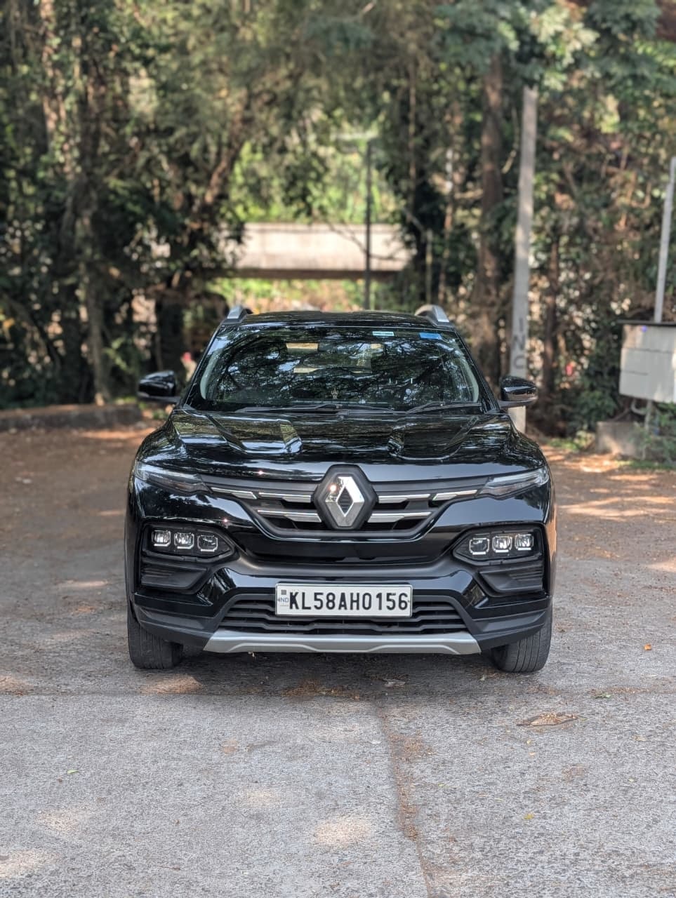 Kiger image 7 Kiger image 7