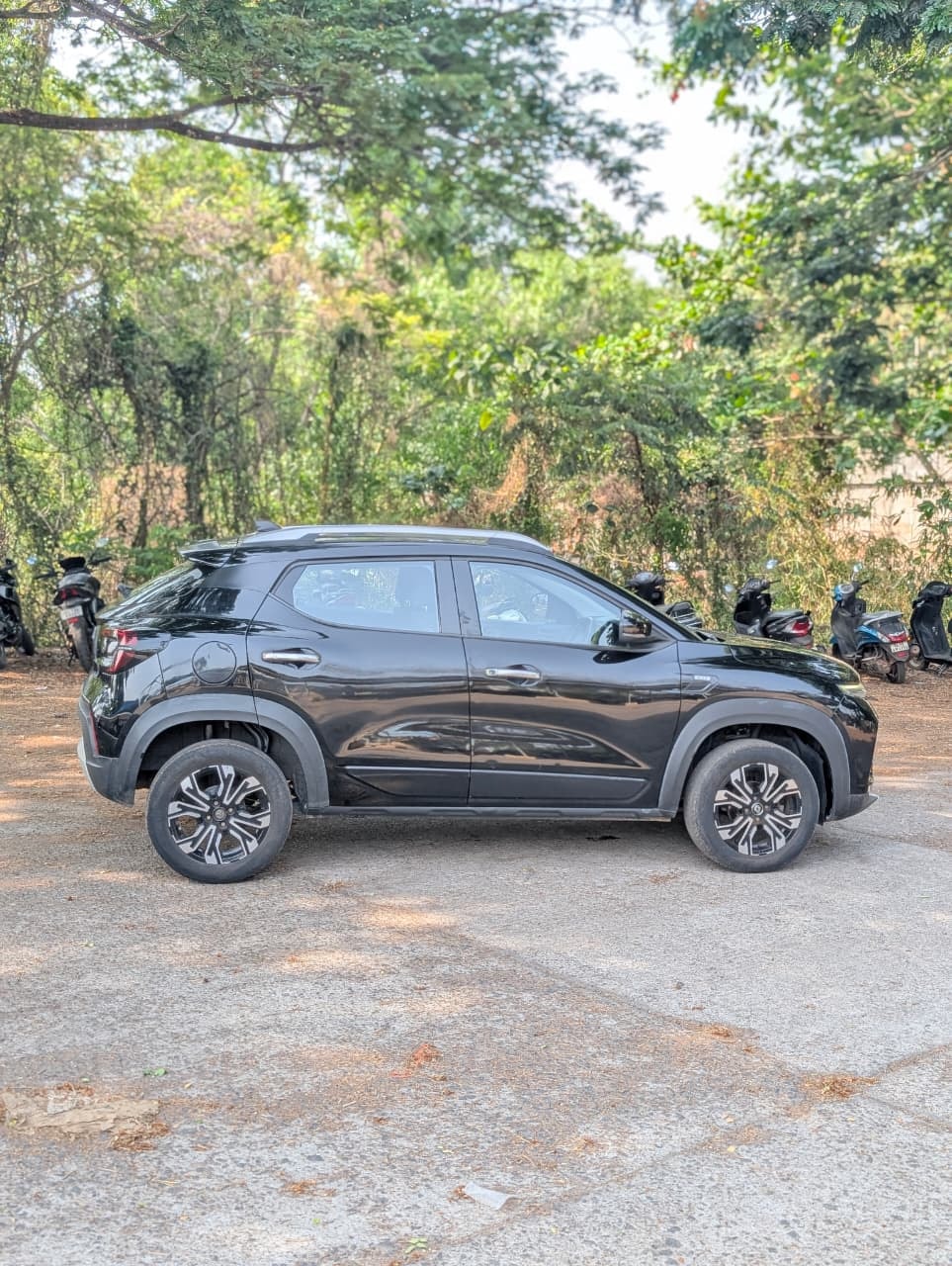 Kiger image 5 Kiger image 5