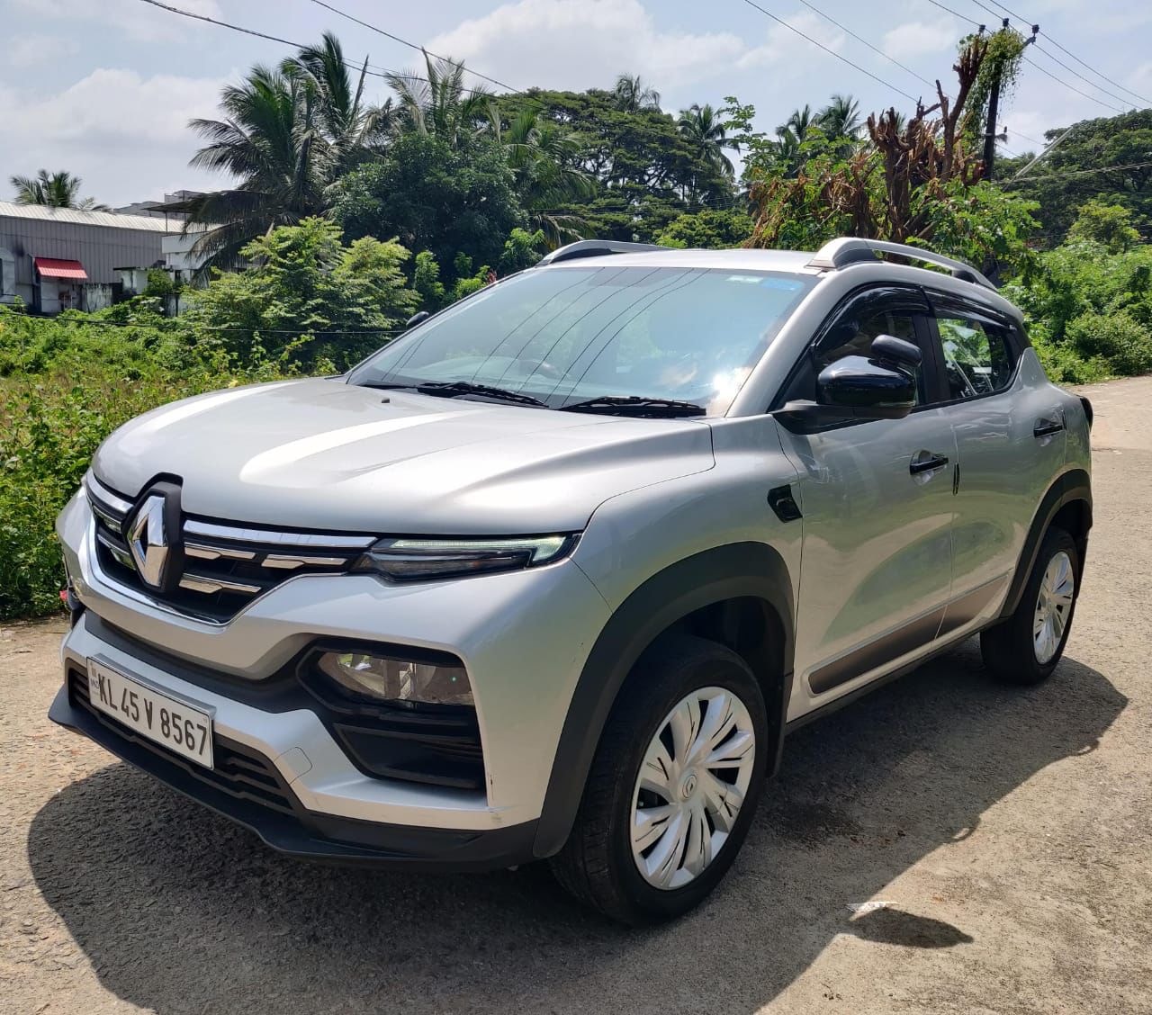 Kiger image 1 Kiger image 1