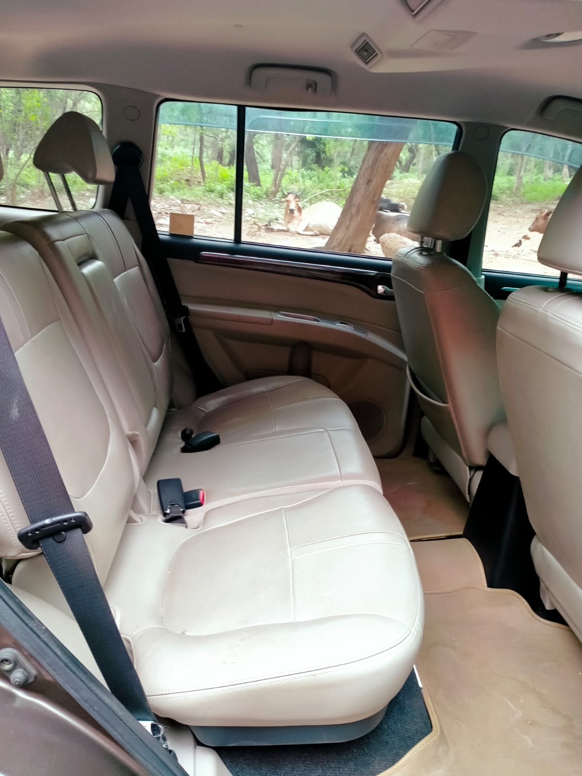 Pajero Sport image 8 Pajero Sport image 8