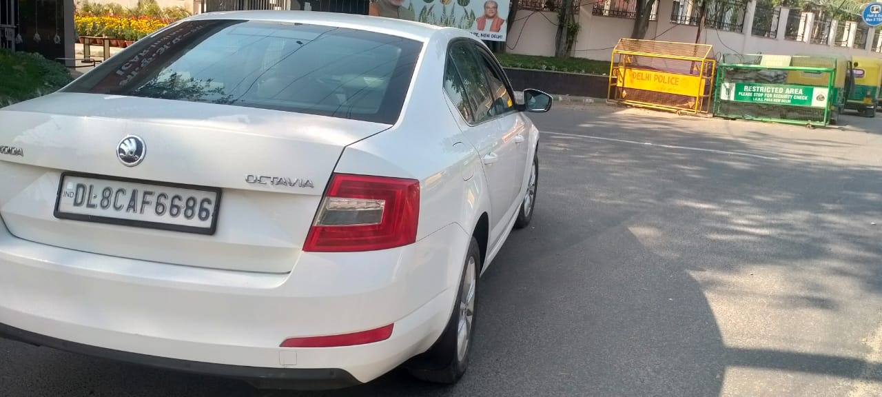 Octavia image 2 Octavia image 2