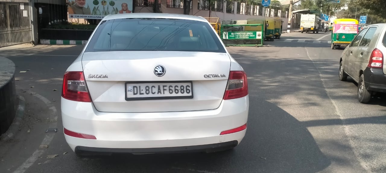 Octavia image 3 Octavia image 3