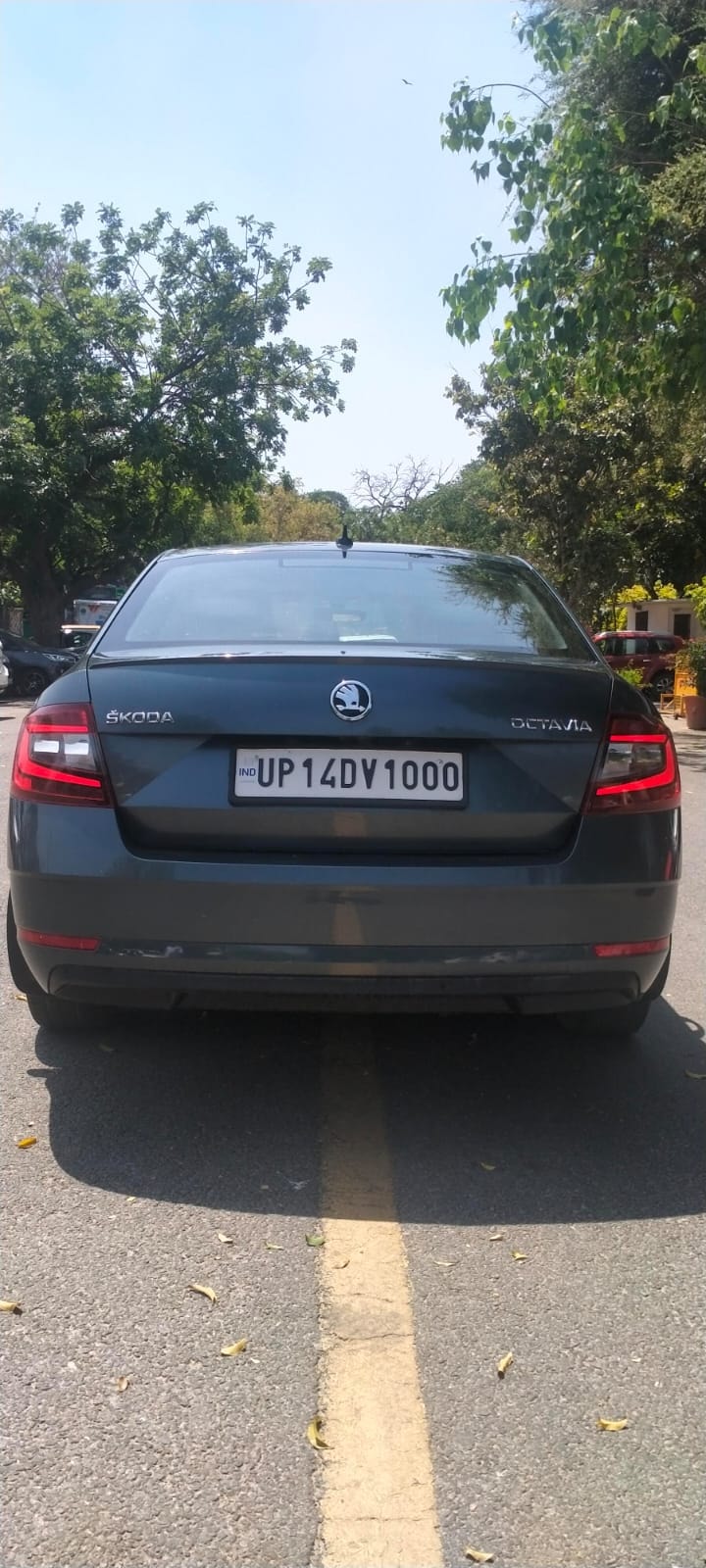 Octavia image 2 Octavia image 2