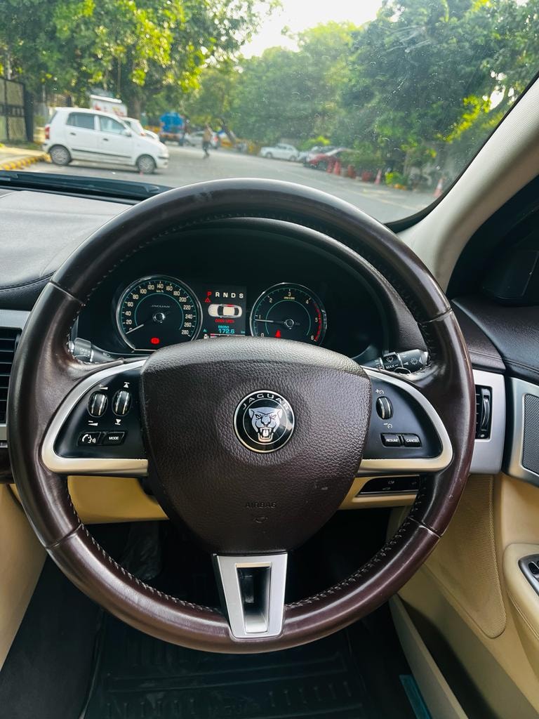 XF image 10 XF image 10