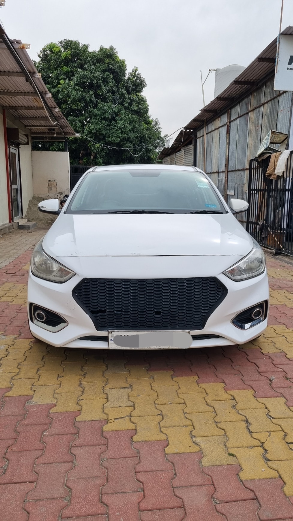 Verna image 8 Verna image 8