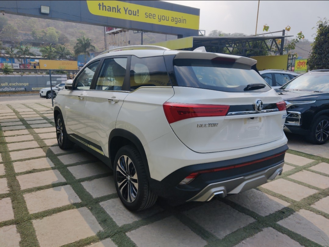 Hector image 3 Hector image 3