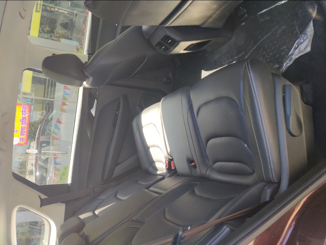 Hector Plus image 17 Hector Plus image 17