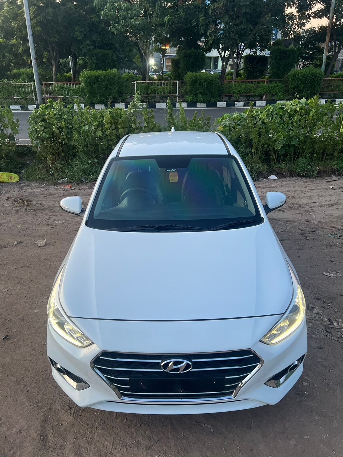 Verna image 3 Verna image 3