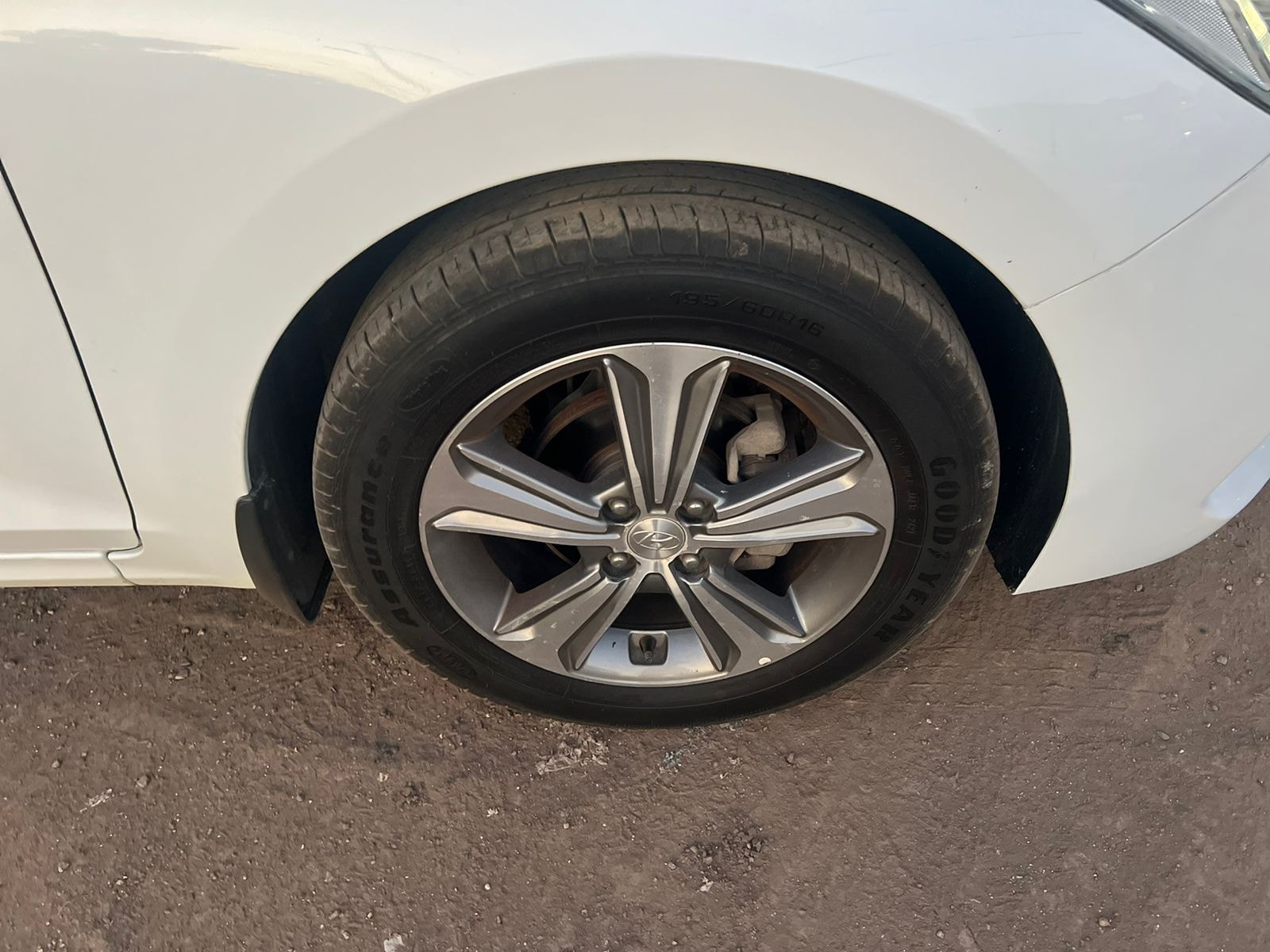 Verna image 10 Verna image 10