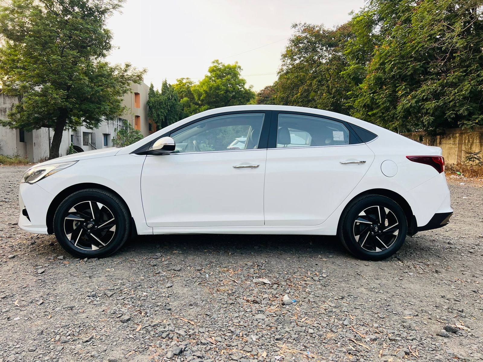 Verna image 2 Verna image 2