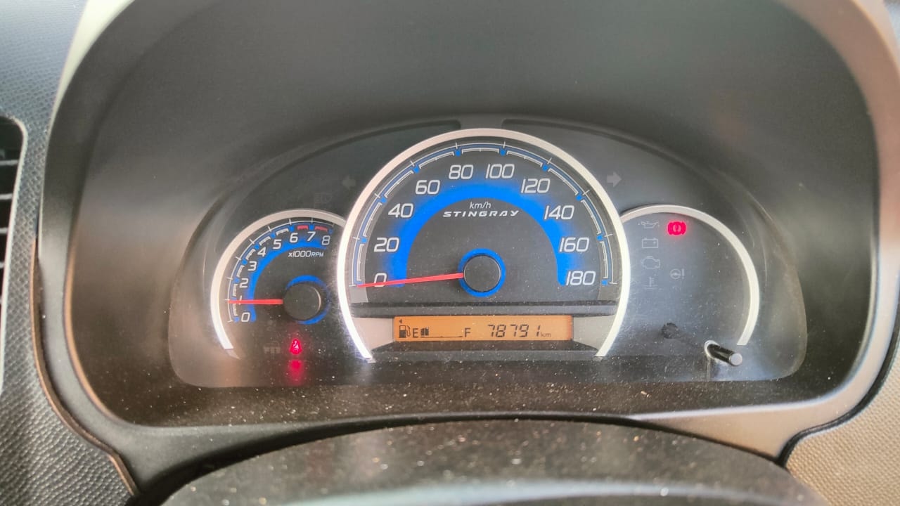 Stingray image 11 Stingray image 11