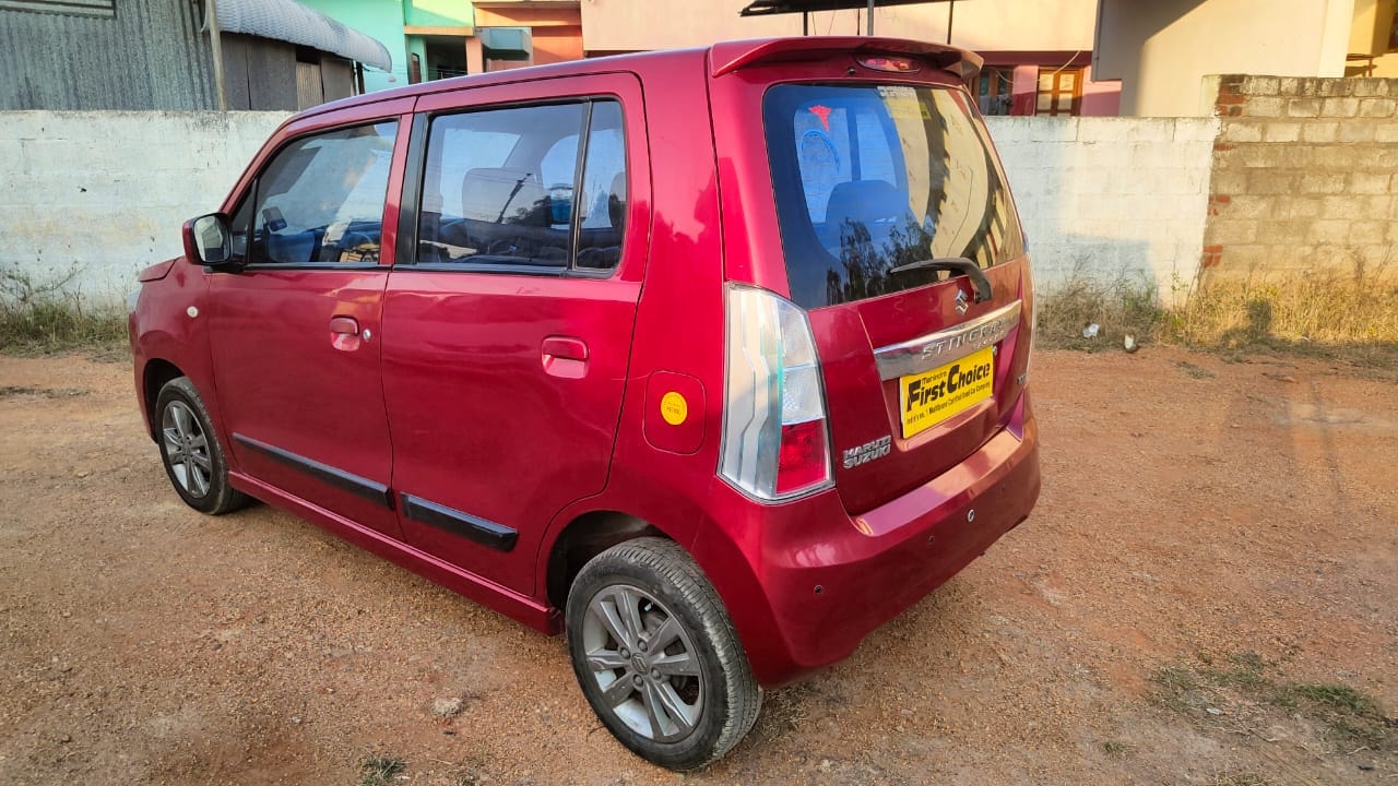 Stingray image 3 Stingray image 3