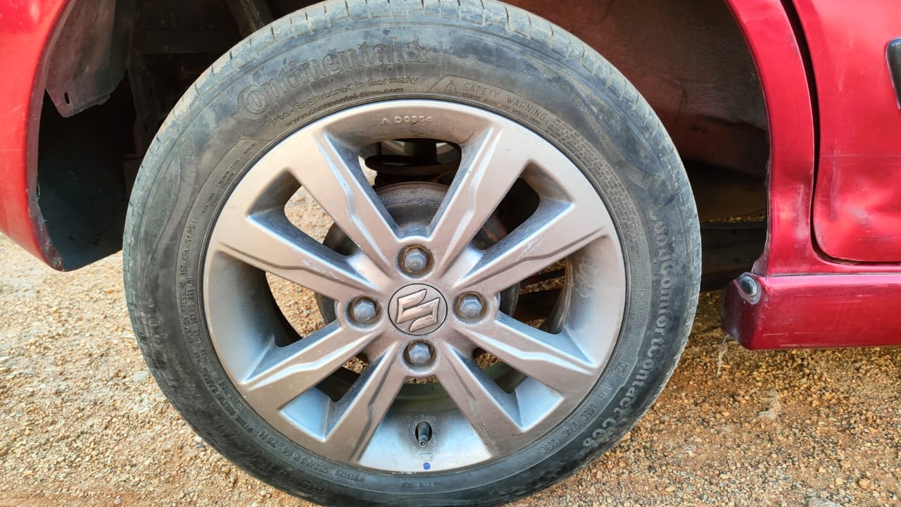 Stingray image 9 Stingray image 9