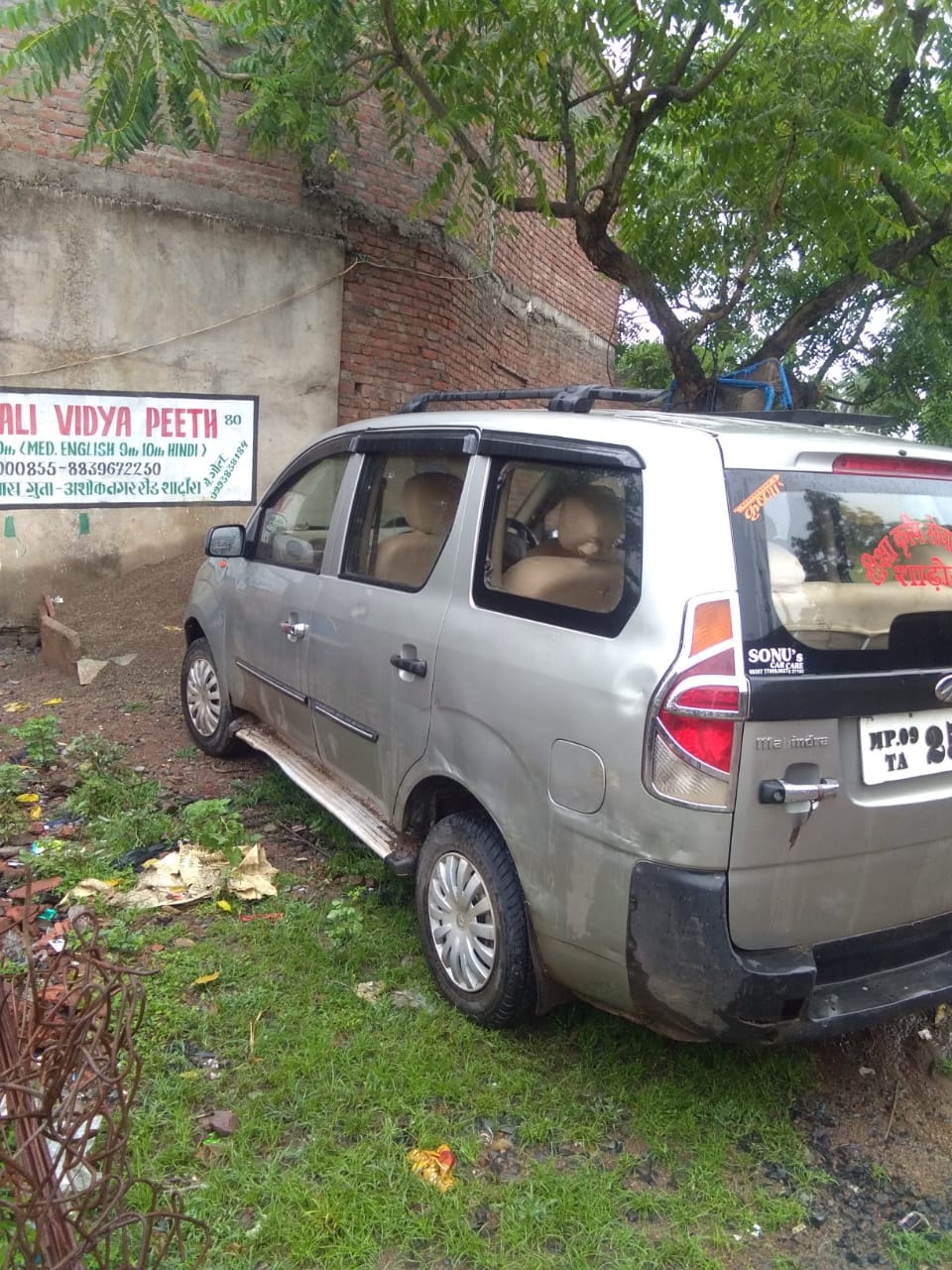 Xylo image 2 Xylo image 2