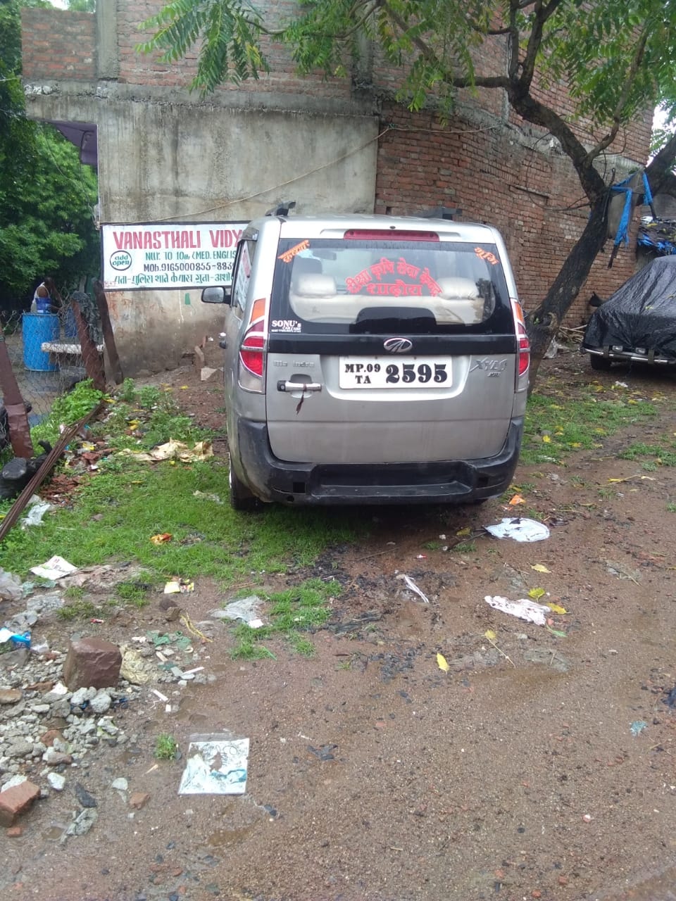 Xylo image 4 Xylo image 4