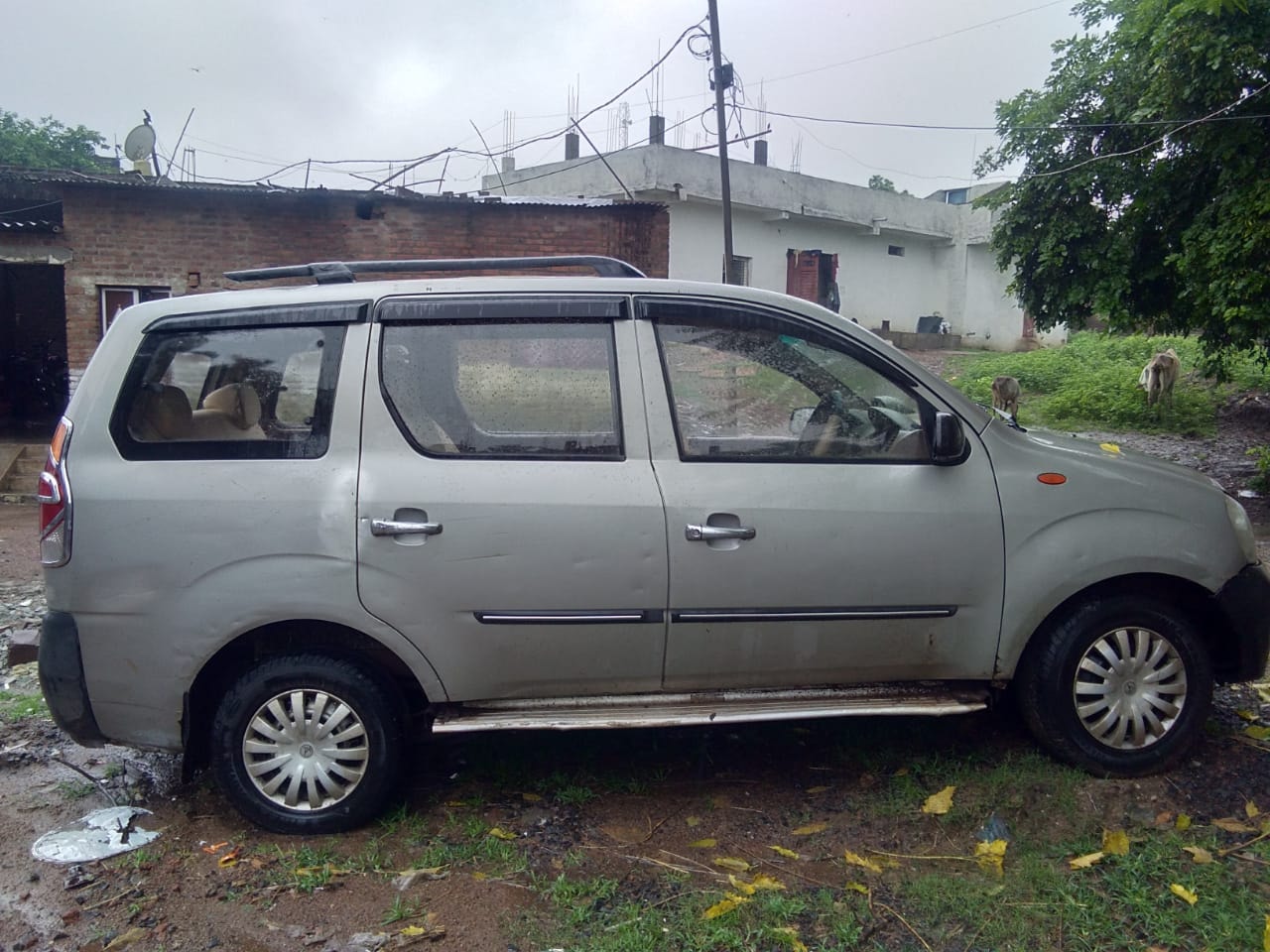 Xylo image 5 Xylo image 5