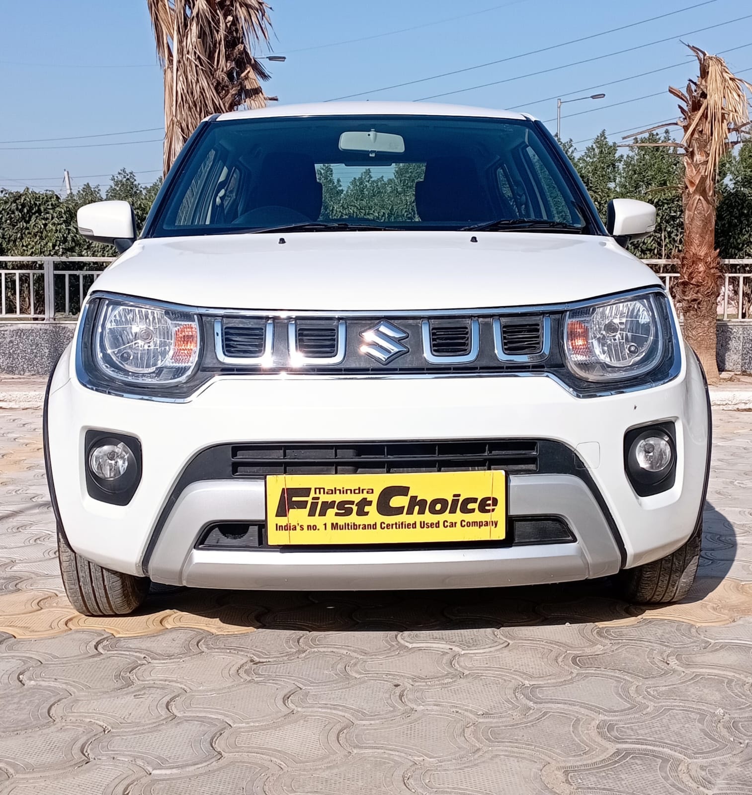 Ignis image 8 Ignis image 8