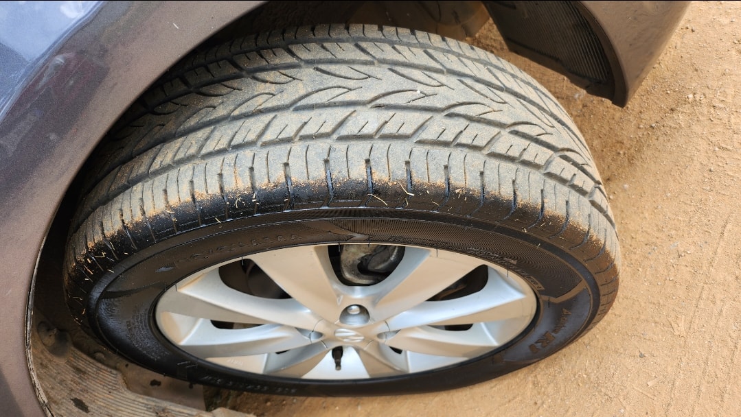 Verna image 9 Verna image 9