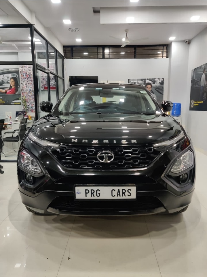 Harrier image 8 Harrier image 8