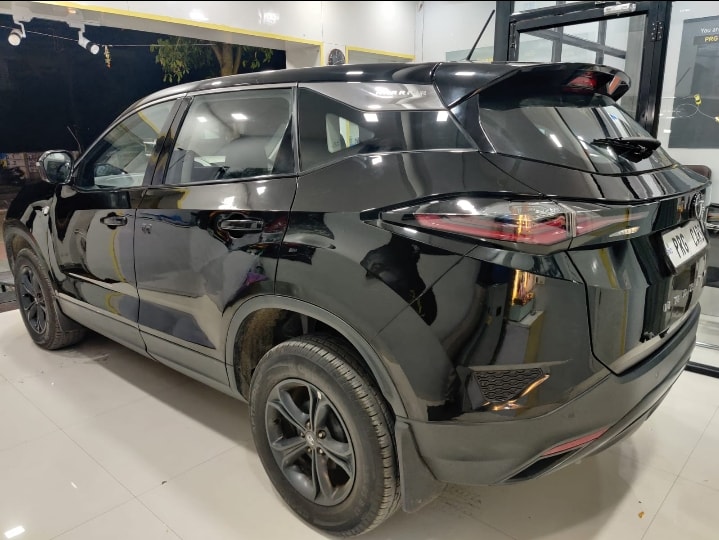 Harrier image 3 Harrier image 3