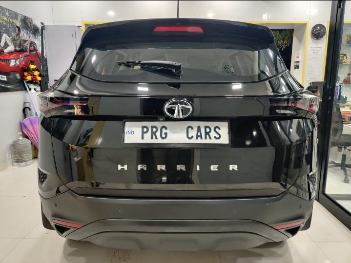 Harrier image 4 Harrier image 4